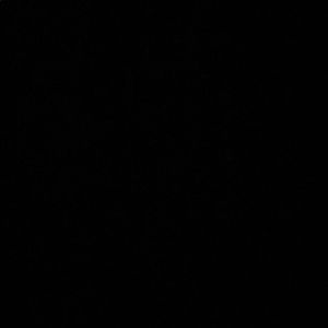 Meet your Posher, Bailey